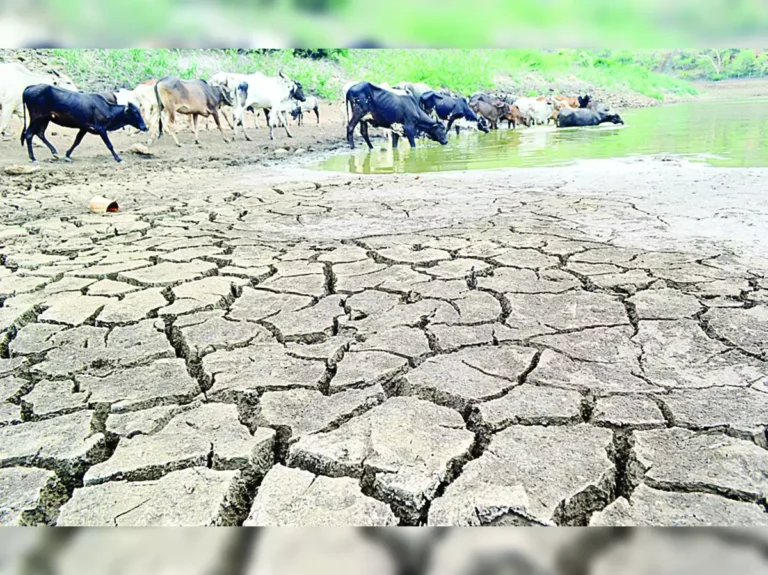 Severe drought in Karnataka : ಕರ್ನಾಟಕದಲ್ಲಿ ತೀವ್ರ ಬರಗಾಲ, ರೈತರು, ಜನರಿಗೆ ಸಂಕಷ್ಟ!