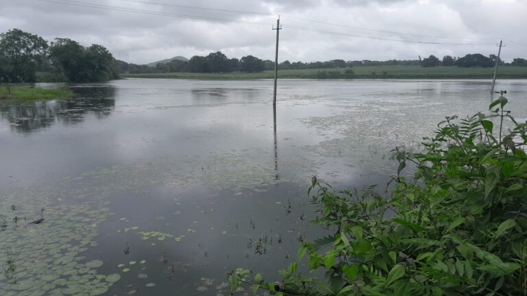 ನೀರಾವರಿ ಇಲಾಖೆ ನಿರ್ಲಕ್ಷ್ಯ: ಹುನಗುಂದ ಗ್ರಾಮದವರಿಂದ ಕೆರೆ ಅಭಿವೃದ್ಧಿಗೆ ಆಗ್ರಹ…..